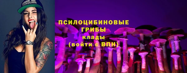 а пвп мука Навашино