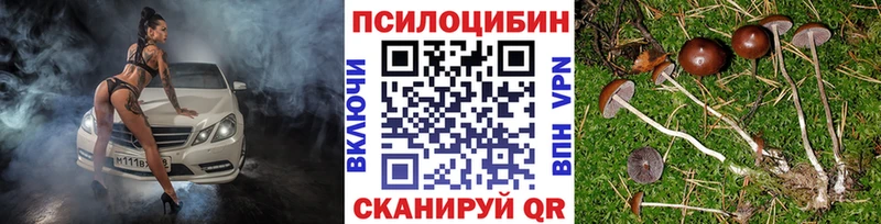 Галлюциногенные грибы Magic Shrooms Черкесск