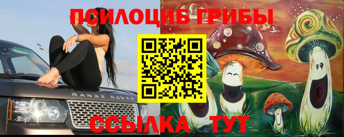 Псилоцибиновые грибы GOLDEN TEACHER Черкесск