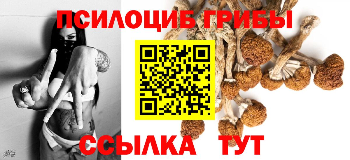 Псилоцибиновые грибы Magic Shrooms Черкесск